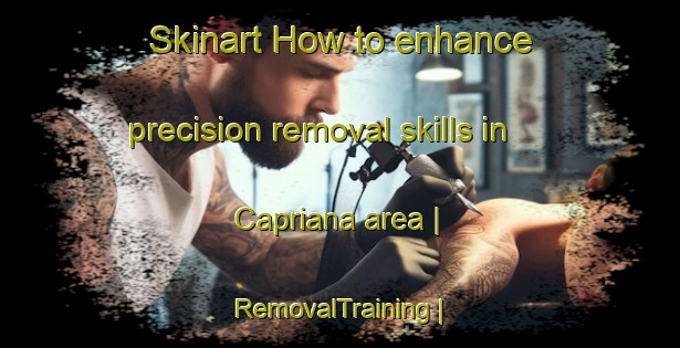 Skinart How to enhance precision removal skills in Capriana area | RemovalTraining | RemovalClasses | SkinartTraining-Moldova